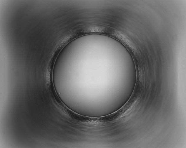 X0000094180537200711091144