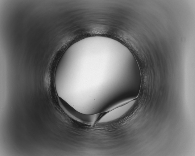 X0000094180539200711091144