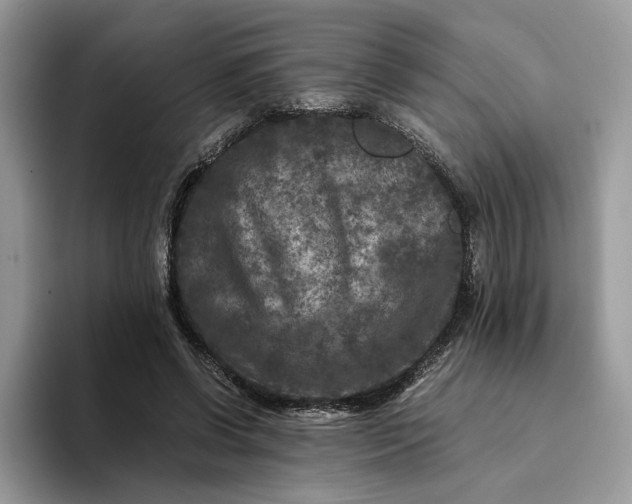 X0000094180542200711091144