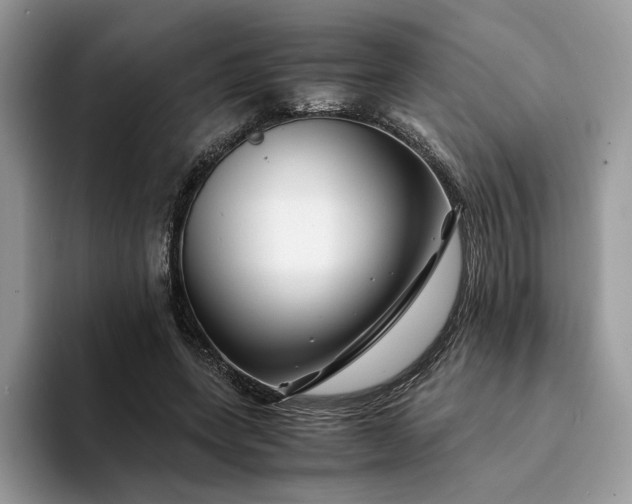 X0000094180543200711091144