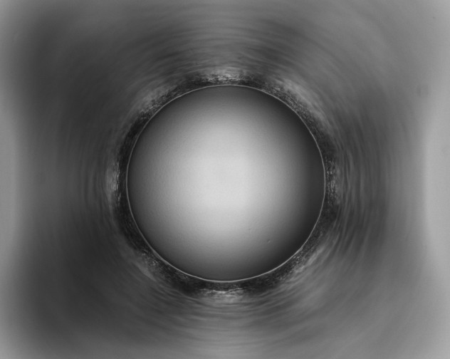 X0000094180548200711091144