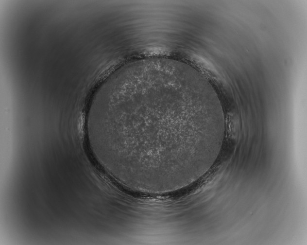X0000094180550200711091144