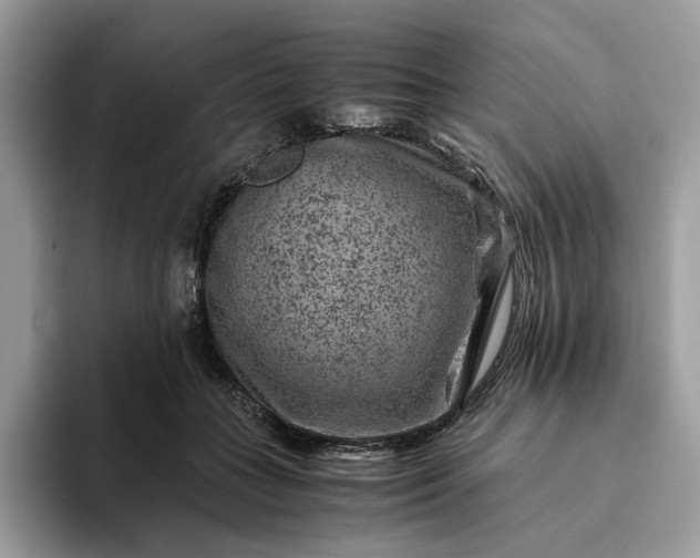 X0000094180555200711091144