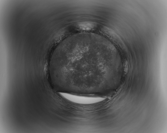 X0000094180559200711091144