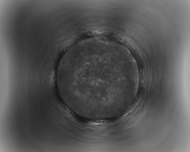 X0000094180563200711091144