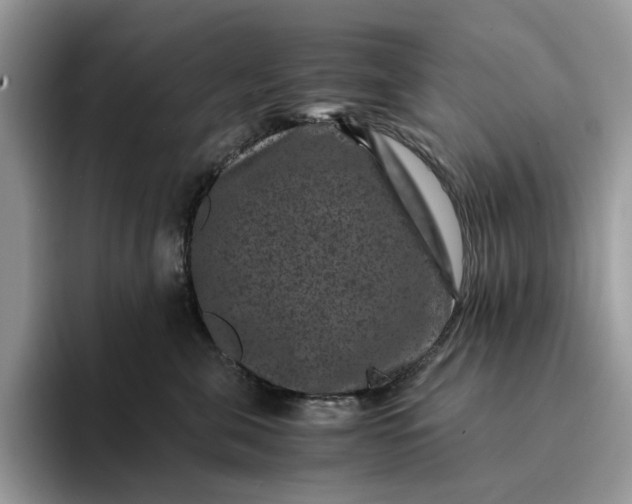 X0000094180571200711091144