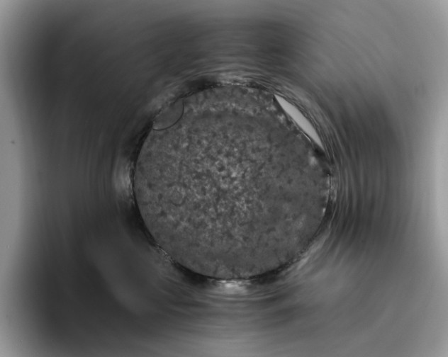 X0000094180573200711091144