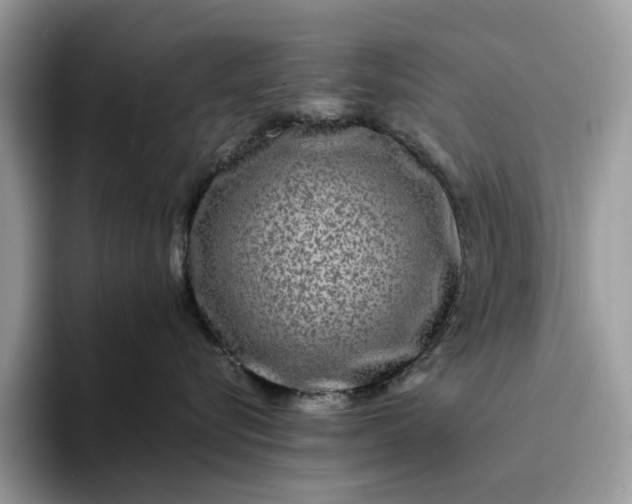 X0000094180576200711091144