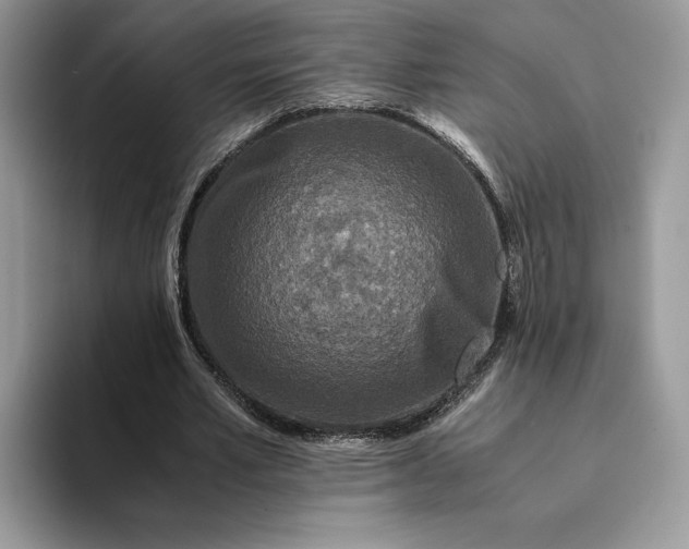 X0000094180581200711091144