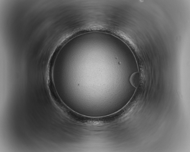 X0000094180582200711091144