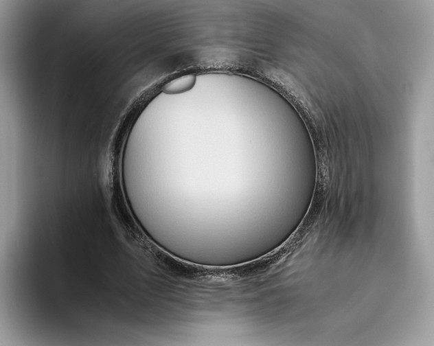 X0000094180583200711091144