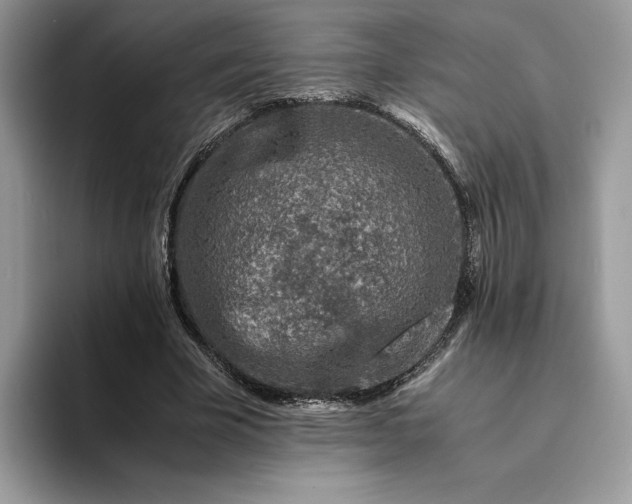X0000094180585200711091144