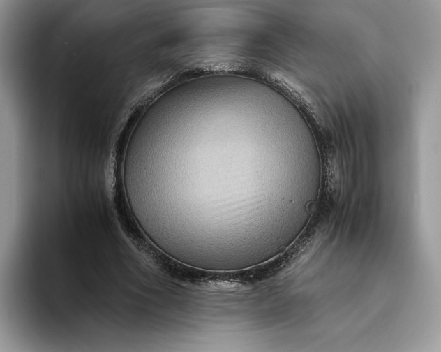 X0000094180586200711091144