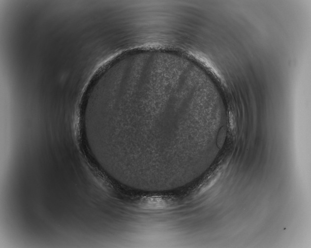 X0000094180588200711091144