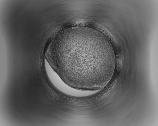 X0000094180593200711091144