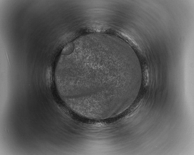 X0000094180594200711091144