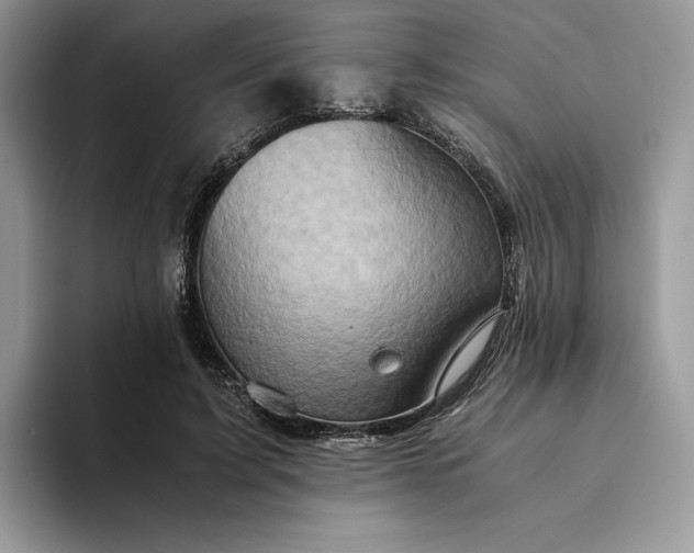 X0000094180595200711091144
