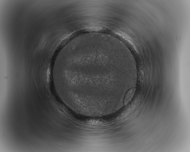 X0000094180596200711091144