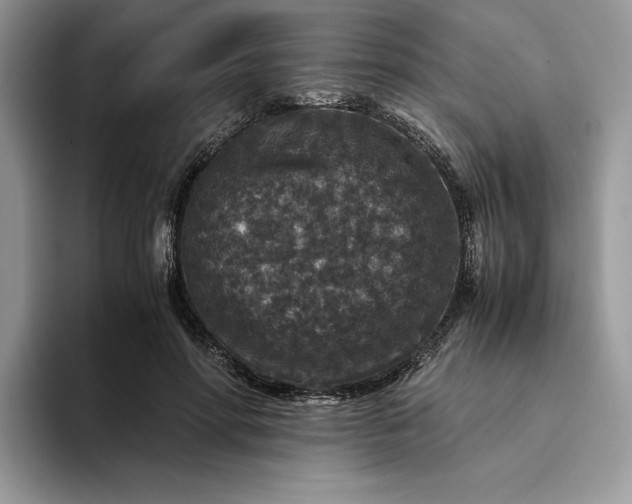 X0000094180598200711091144