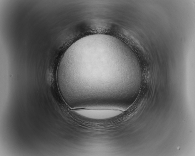 X0000094180599200711091144