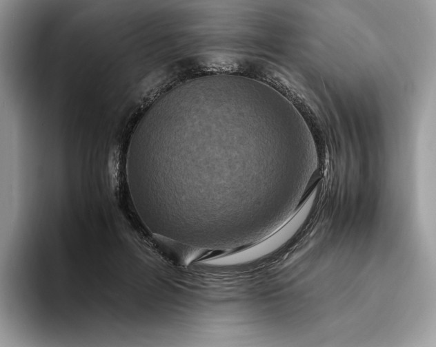 X0000094180600200711091144