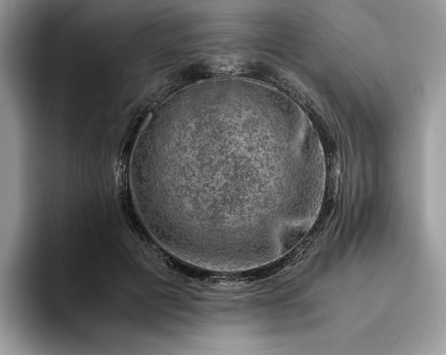 X0000094180601200711091144