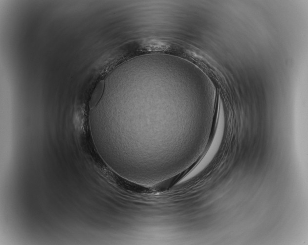 X0000094180604200711091143
