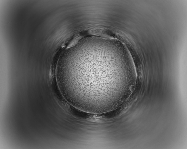 X0000094180607200711091143