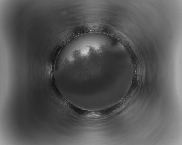 X0000094180610200711091143