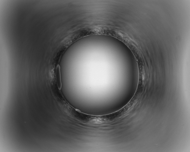 X0000094180611200711091143