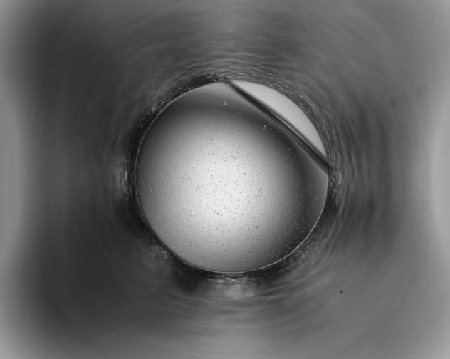 X0000094180615200711091143