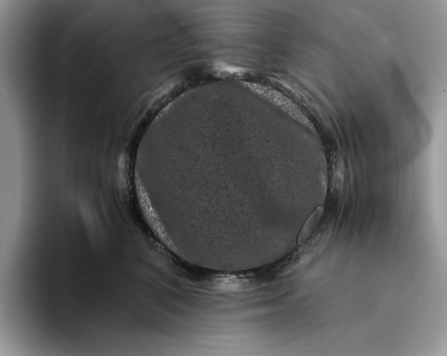 X0000094180616200711091143