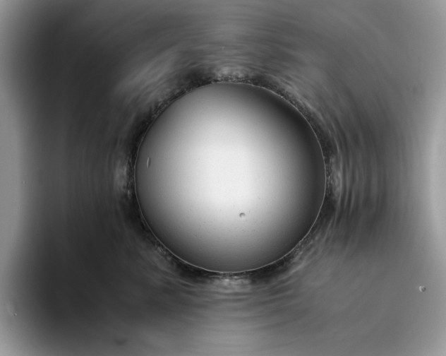 X0000094180619200711091143