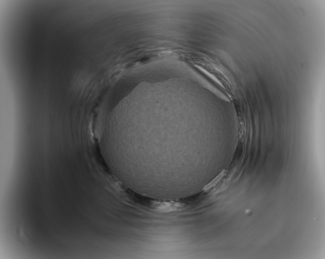 X0000094180621200711091143