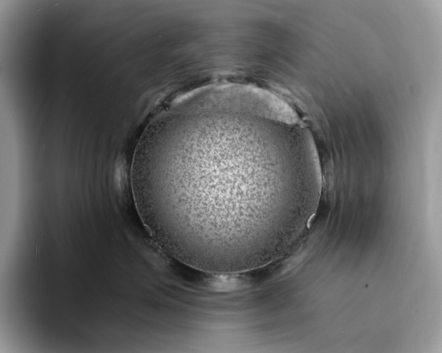 X0000094180623200711091143