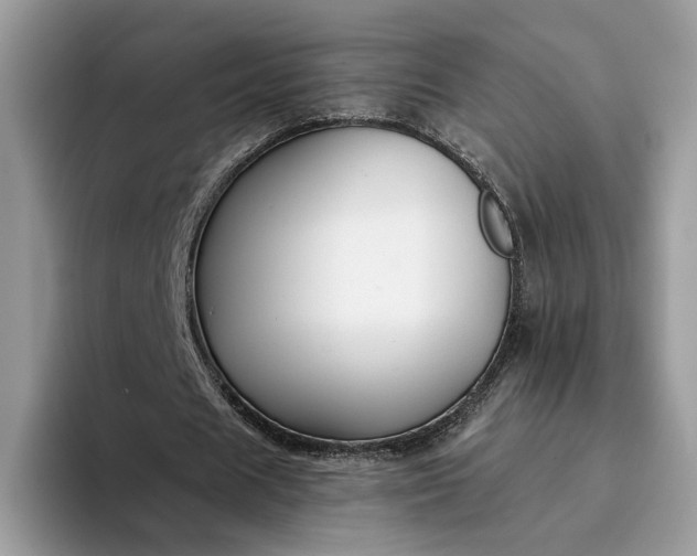 X0000094180625200711091143