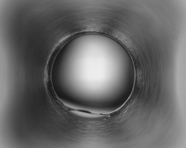 X0000094180628200711091143