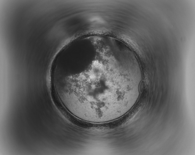 X0000094180630200711091143