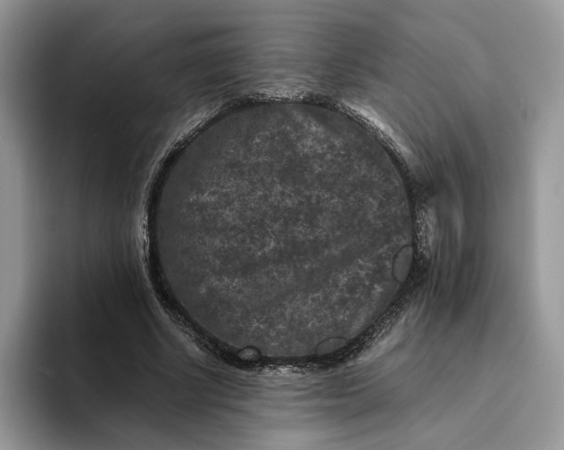 X0000094180634200711091143