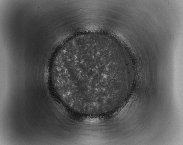 X0000094180640200711091143