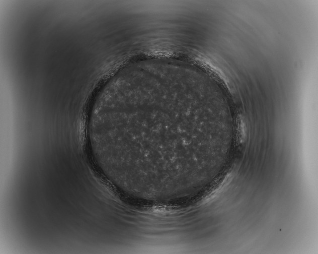 X0000094180641200711091143