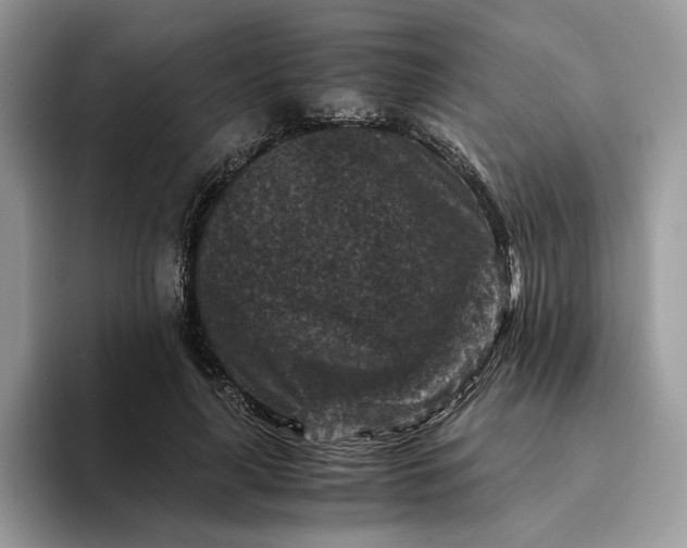 X0000094180643200711091143