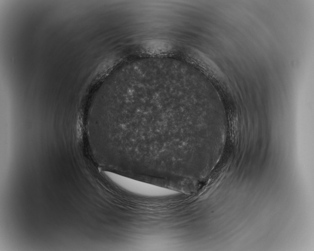 X0000094180644200711091143
