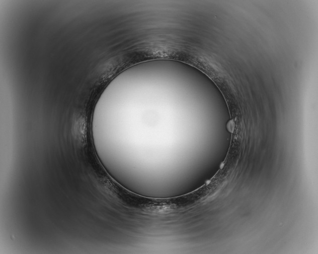 X0000094180646200711091143