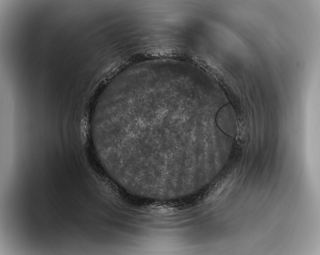 X0000094180648200711091143