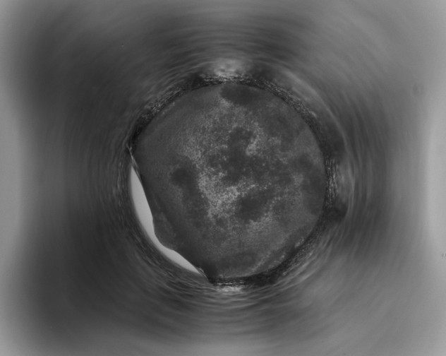 X0000094180651200711091143