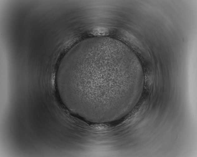 X0000094180652200711091143
