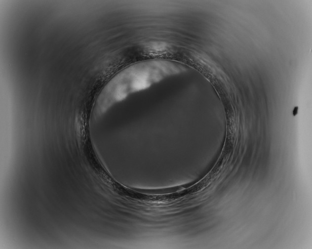 X0000094180653200711091143