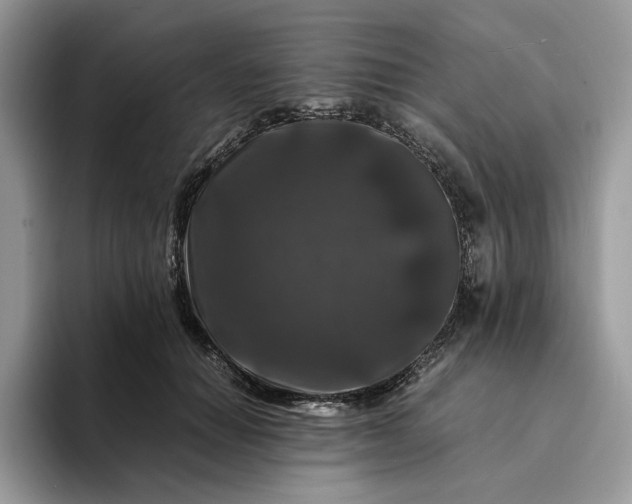 X0000094180654200711091143