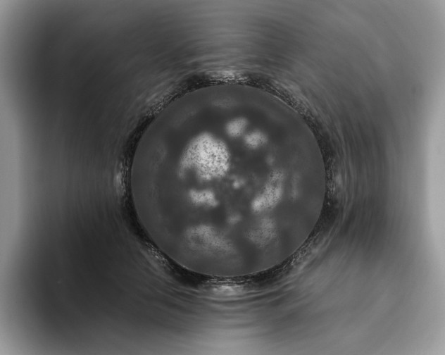 X0000094180658200711091143